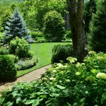 Landscape and stone path design and installation in Linville, NC