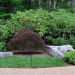 Landscape and stone path design and installation in Linville, NC