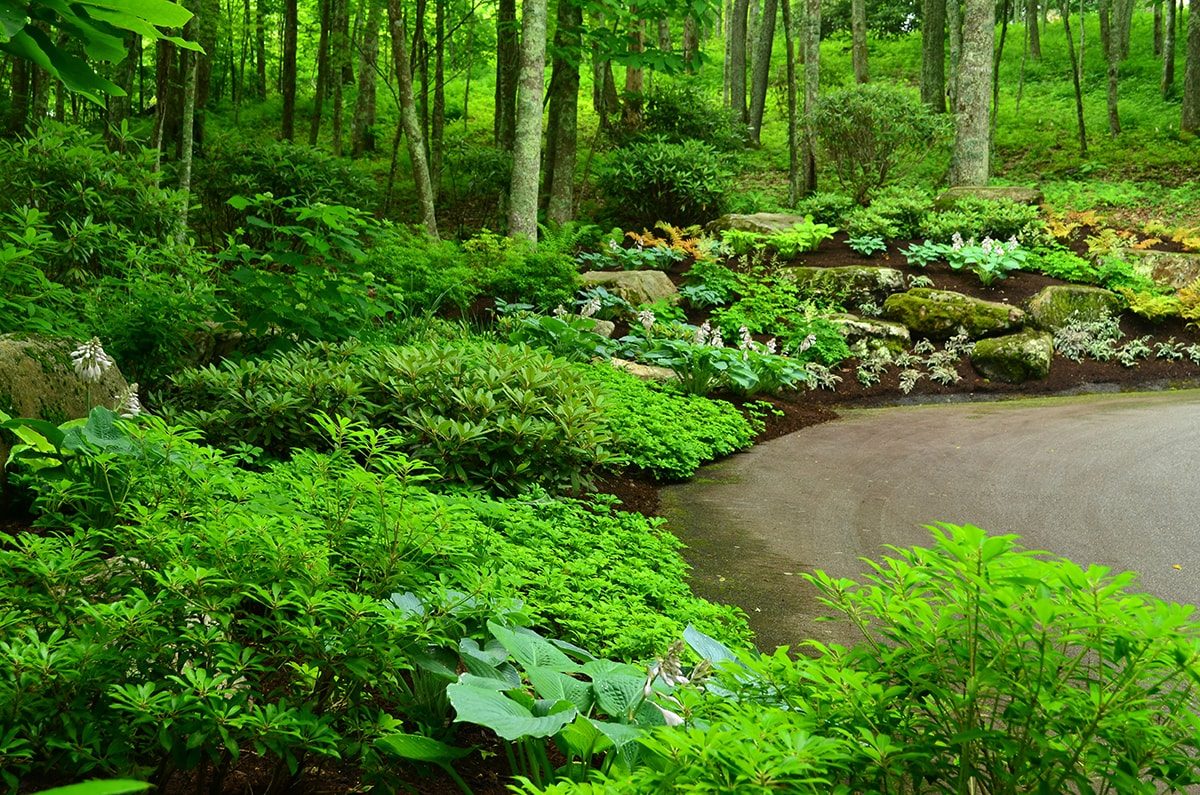 Award-winning high-end landscape design in Linville, NC.