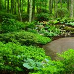 Award-winning high-end landscape design in Linville, NC.